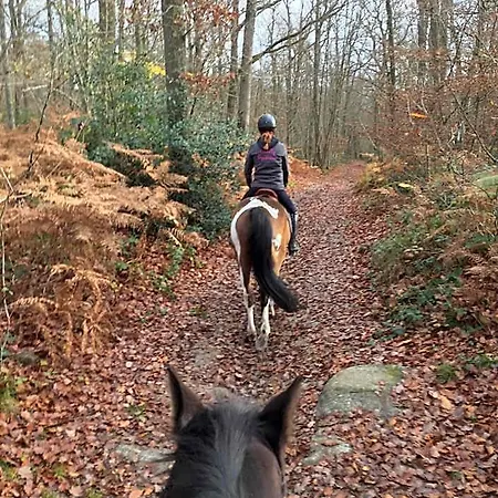 Bed and Breakfast Les Premices De La Foret