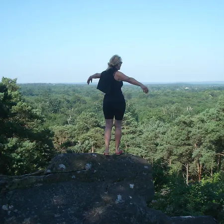 Les Prémices De La Forêt *