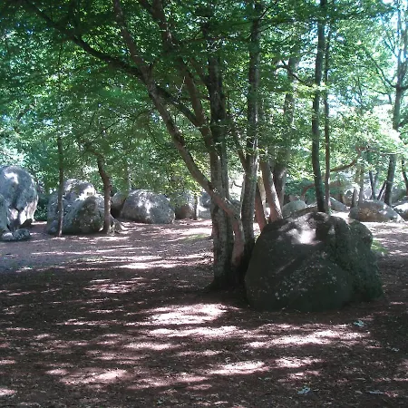 לינה וארוחת בוקר Les Premices De La Foret