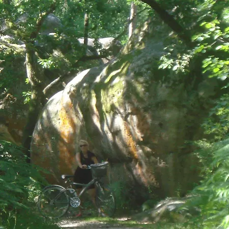 B&B Les Premices De La Foret