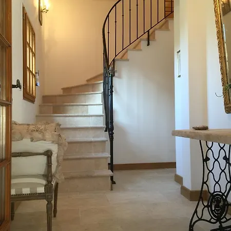 Les Prémices De La Forêt 3*