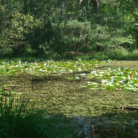 לינה וארוחת בוקר Les Premices De La Foret