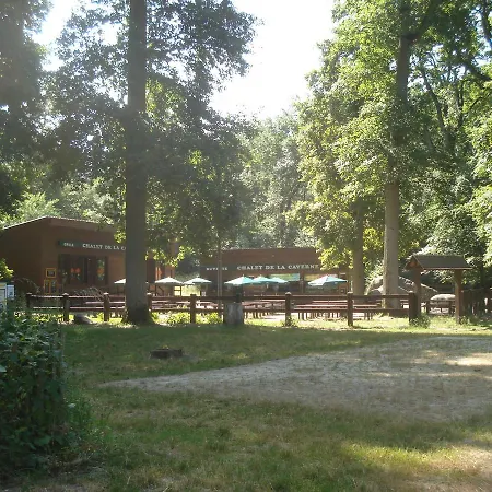 Les Prémices De La Forêt