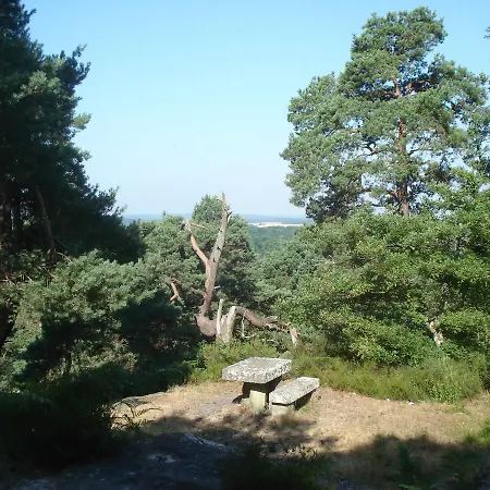 Les Prémices De La Forêt Couette-café Chailly-en-Biere