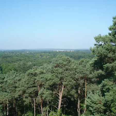 Les Premices De La Foret Chailly-en-Biere