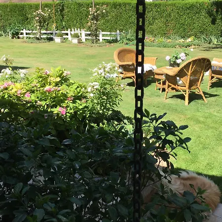 Les Premices De La Foret