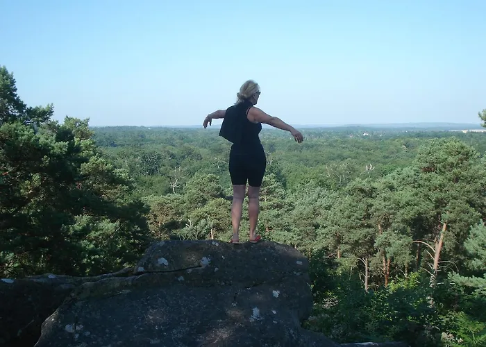 Les Prémices De La Forêt 3*