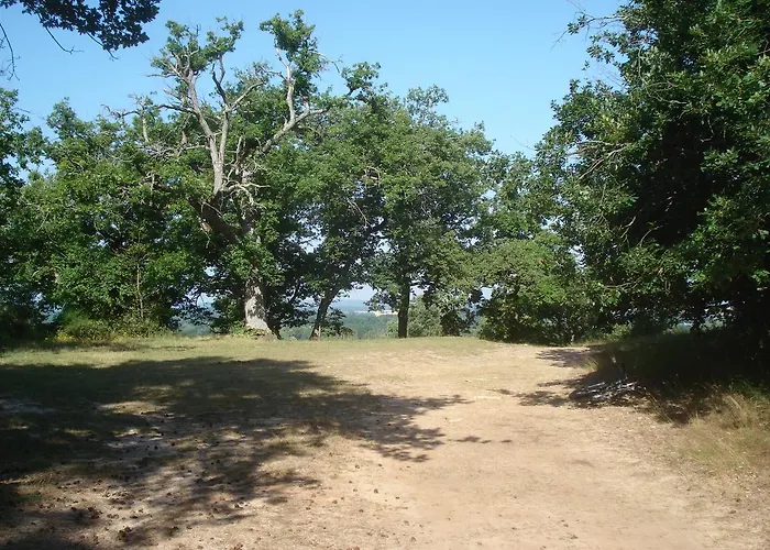 Les Prémices De La Forêt Chailly-en-Biere
